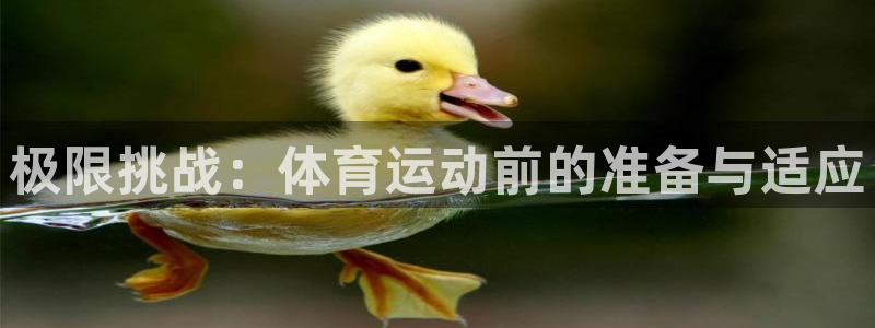 杏鑫2平台注册：极限挑战：体育运动前的准备与适应