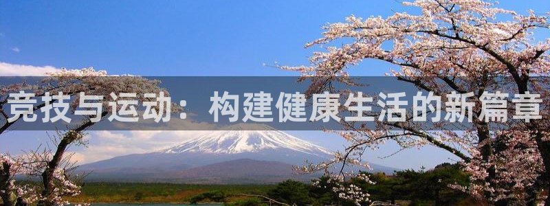 杏鑫体育1招商：竞技与运动：构建健康生活的新篇章