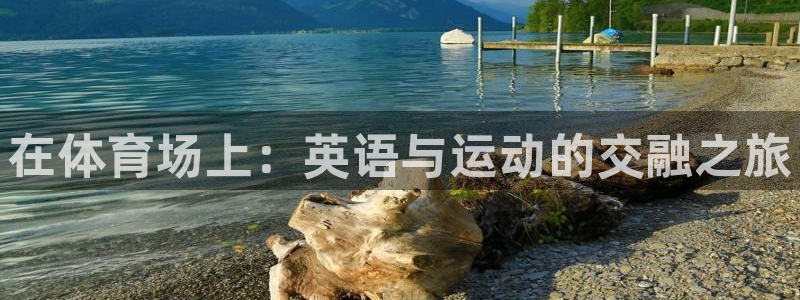 杏鑫体育平台注册：在体育场上：英语与运动的交融之旅