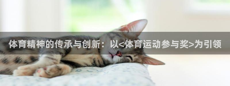 杏鑫集团总部：体育精神的传承与创新：以<体育运动参与奖>为引领
