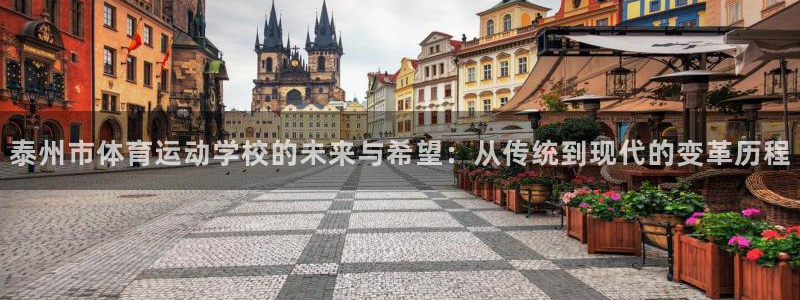 东莞市杏鑫电子科技有限公司：泰州市体育运动学校的未来与希望：从传统到现代的变革历