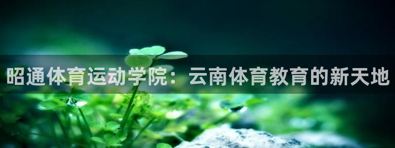 杏鑫体育合法嘛：昭通体育运动学院：云南体育教育的新天地