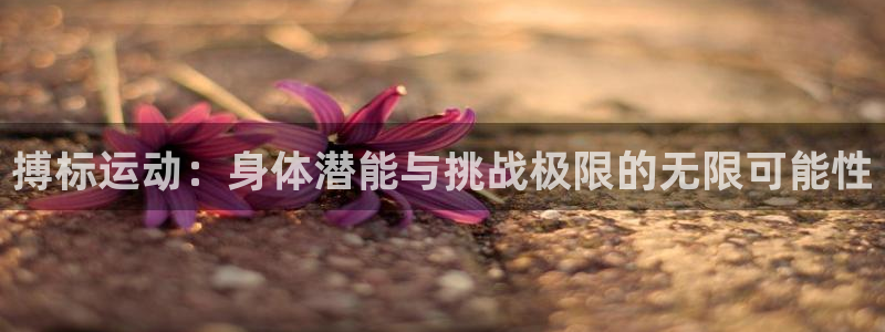 杏鑫4：搏标运动：身体潜能与挑战极限的无限可能性