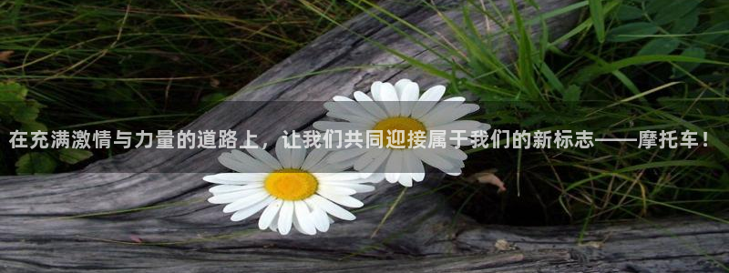 杏鑫2登录地址：在充满激情与力量的道路上，让我们共同迎接属于我们的新标志——摩托