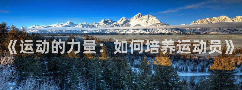 杏鑫零能源集团：《运动的力量：如何培养运动员》