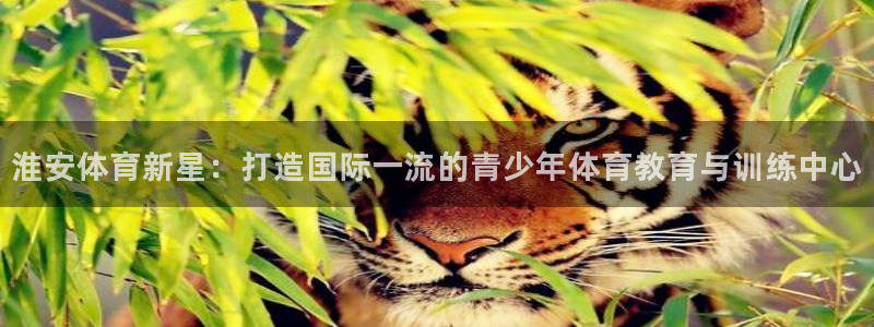 杏鑫体育凯捷平台代理：淮安体育新星：打造国际一流的青少年体育教育与训练中心