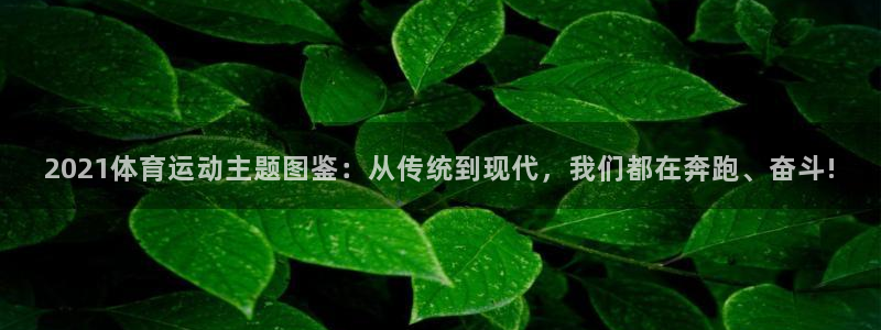 杏鑫体育1招商：2021体育运动主题图鉴：从传统到现代，我们都在奔跑、奋斗!