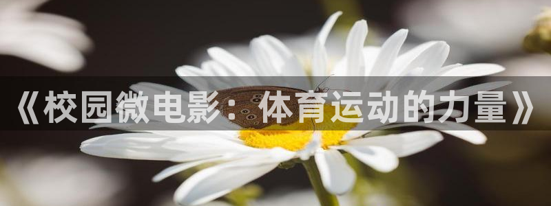 杏鑫体育代理申请流程：《校园微电影：体育运动的力量》