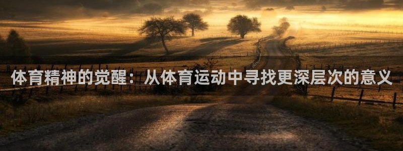 杏鑫股份：体育精神的觉醒：从体育运动中寻找更深层次的意义