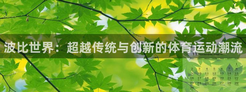杏鑫2注册：波比世界：超越传统与创新的体育运动潮流