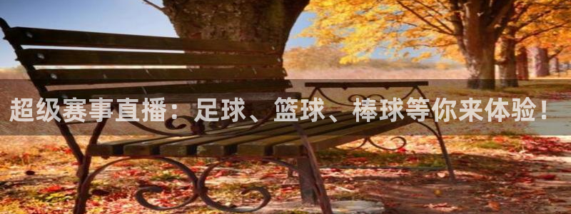 杏鑫体育1招商：超级赛事直播：足球、篮球、棒球等你来体验！