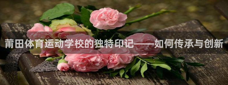 www.杏鑫体育.com：莆田体育运动学校的独特印记——如何传承与创新