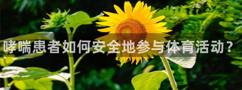 杏鑫3登陆：哮喘患者如何安全地参与体育活动？