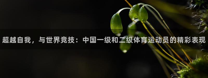 杏鑫：超越自我，与世界竞技：中国一级和二级体育运动员的精彩表现