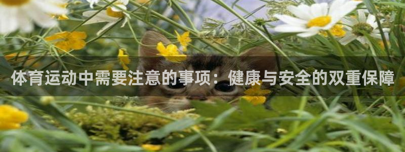 杏鑫凯捷注册：体育运动中需要注意的事项：健康与安全的双重保障