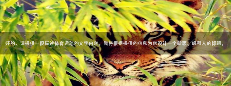 杏鑫体育凯捷平台代理：好的，请提供一段描述体育运动的文字内容。我将根据提供的信息