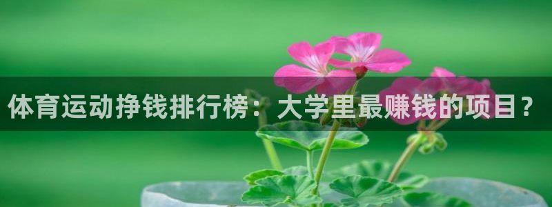 杏鑫体育代理