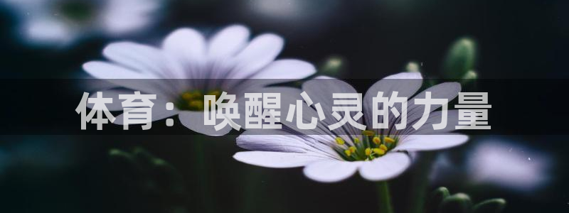 杏鑫集团股票：体育：唤醒心灵的力量