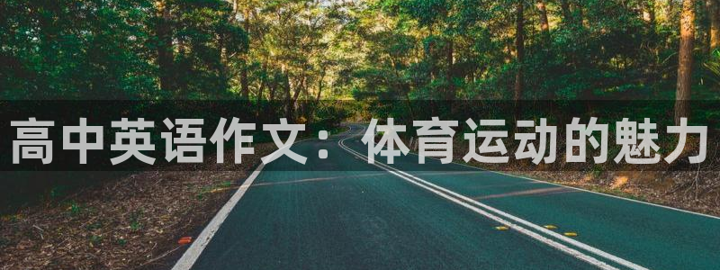 杏鑫体育4