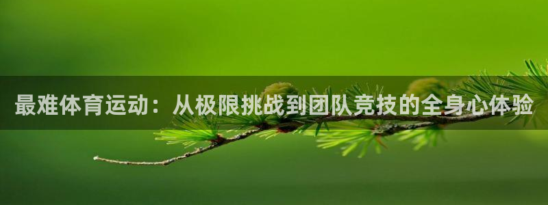 杏鑫平台招商：最难体育运动：从极限挑战到团队竞技的全身心体验