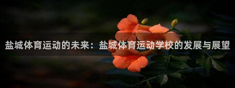 杏鑫官网入口：盐城体育运动的未来：盐城体育运动学校的发展与展望