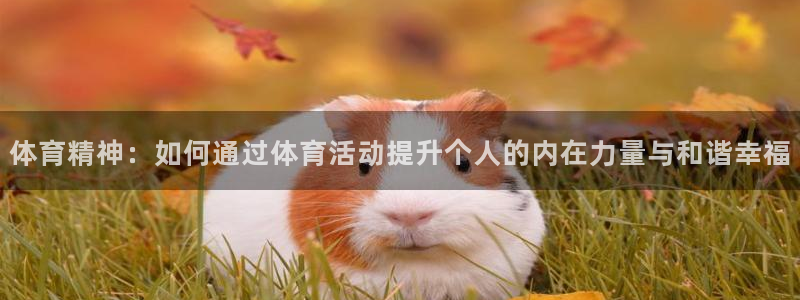 杏鑫体育论坛：体育精神：如何通过体育活动提升个人的内在力量与和谐幸福