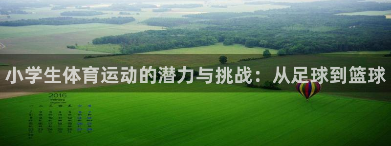 杏鑫2平台注册：小学生体育运动的潜力与挑战：从足球到篮球