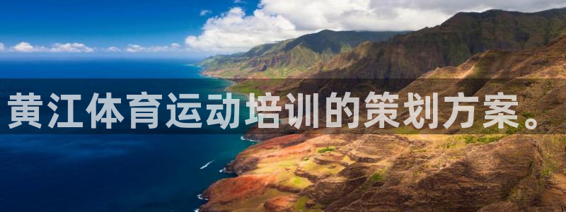 杏鑫零能源集团：黄江体育运动培训的策划方案。