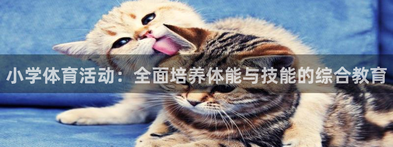 杏鑫3平台注册：小学体育活动：全面培养体能与技能的综合教育
