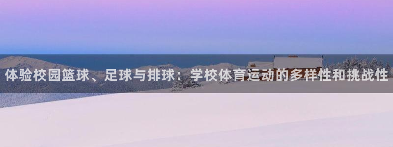杏鑫5招商：体验校园篮球、足球与排球：学校体育运动的多样性和挑战性