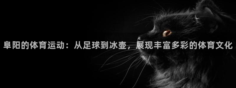 杏鑫4登录：阜阳的体育运动：从足球到冰壶，展现丰富多彩的体育文化
