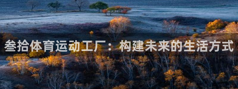 杏鑫代理：叁拾体育运动工厂：构建未来的生活方式