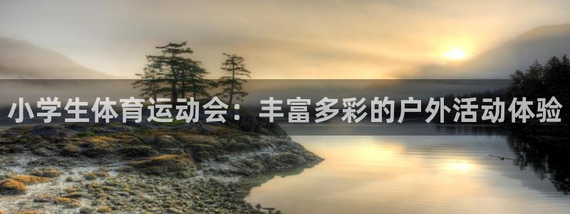 杏鑫体育合法嘛：小学生体育运动会：丰富多彩的户外活动体验